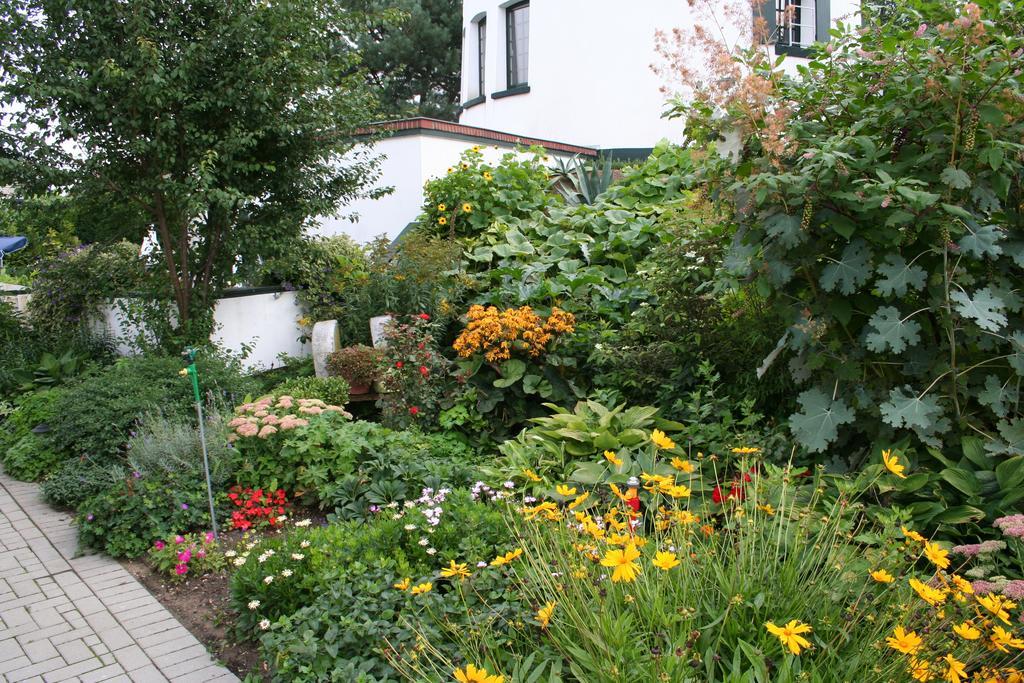 De Witte Molen Kranenburg Bed & Breakfast Kranenburg  Exterior foto